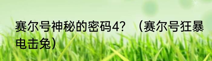 赛尔号神秘的密码4？（赛尔号狂暴电击兔）