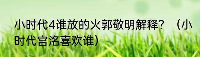 小时代4谁放的火郭敬明解释？（小时代宫洺喜欢谁）