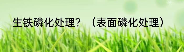 生铁磷化处理？（表面磷化处理）