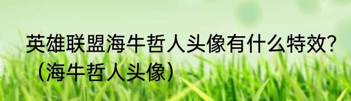 英雄联盟海牛哲人头像有什么特效？（海牛哲人头像）