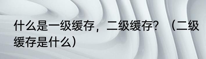 什么是一级缓存，二级缓存？（二级缓存是什么）