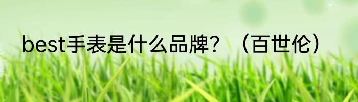 best手表是什么品牌？（百世伦）