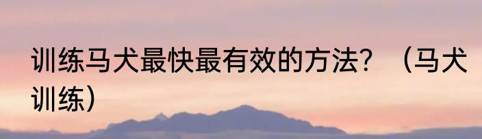 训练马犬最快最有效的方法？（马犬训练）