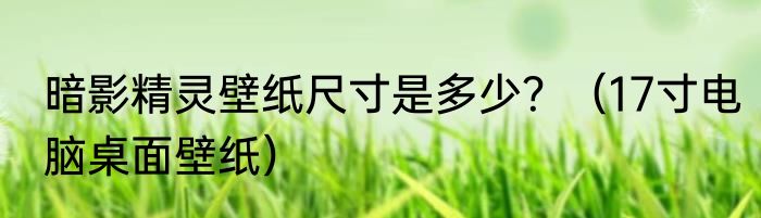 暗影精灵壁纸尺寸是多少？（17寸电脑桌面壁纸）