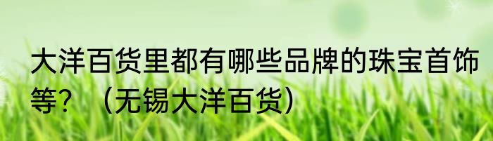 大洋百货里都有哪些品牌的珠宝首饰等？（无锡大洋百货）