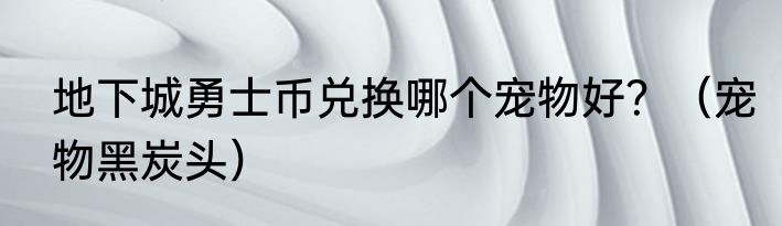 地下城勇士币兑换哪个宠物好？（宠物黑炭头）