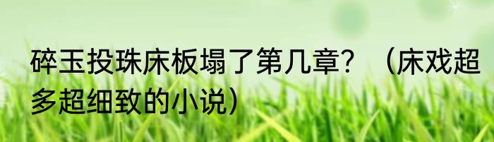 碎玉投珠床板塌了第几章？（床戏超多超细致的小说）