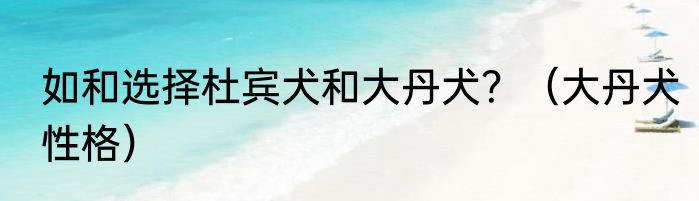 如和选择杜宾犬和大丹犬？（大丹犬性格）