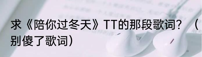 求《陪你过冬天》TT的那段歌词？（别傻了歌词）