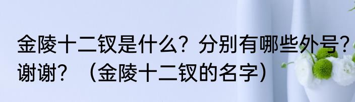 金陵十二钗是什么？分别有哪些外号？谢谢？（金陵十二钗的名字）