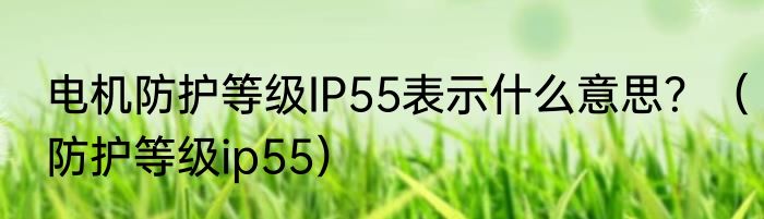 电机防护等级IP55表示什么意思？（防护等级ip55）