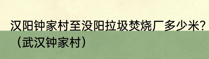汉阳钟家村至没阳拉圾焚烧厂多少米？（武汉钟家村）