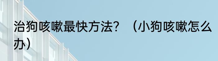 治狗咳嗽最快方法？（小狗咳嗽怎么办）