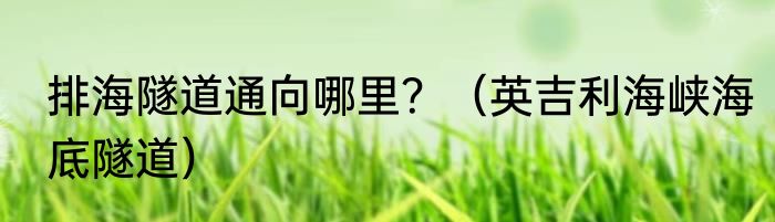 排海隧道通向哪里？（英吉利海峡海底隧道）