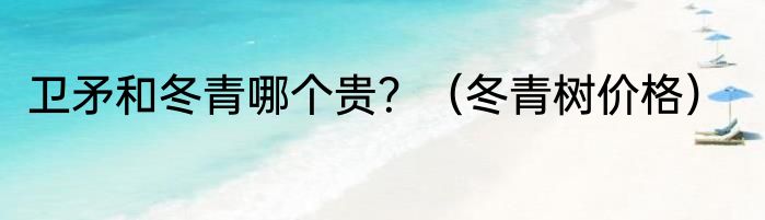 卫矛和冬青哪个贵？（冬青树价格）