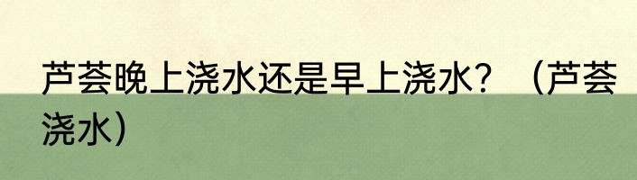 芦荟晚上浇水还是早上浇水？（芦荟浇水）