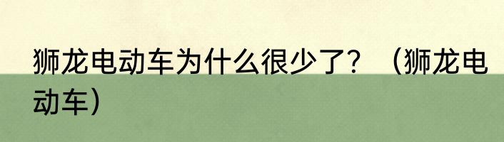 狮龙电动车为什么很少了？（狮龙电动车）