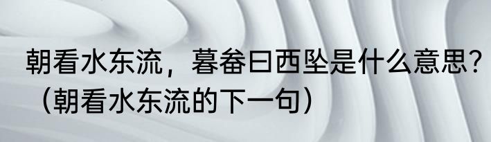 朝看水东流，暮畚曰西坠是什么意思？（朝看水东流的下一句）