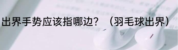 出界手势应该指哪边？（羽毛球出界）
