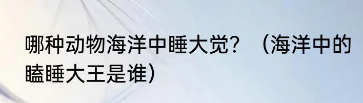 哪种动物海洋中睡大觉？（海洋中的瞌睡大王是谁）