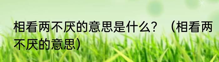 相看两不厌的意思是什么？（相看两不厌的意思）