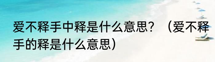 爱不释手中释是什么意思？（爱不释手的释是什么意思）