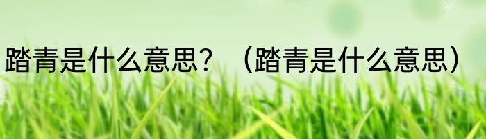 踏青是什么意思？（踏青是什么意思）