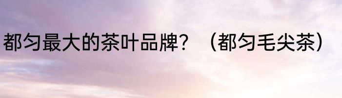 都匀最大的茶叶品牌？（都匀毛尖茶）