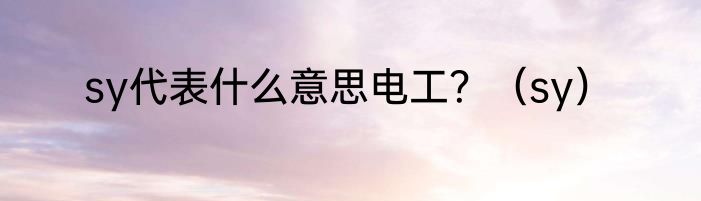 sy代表什么意思电工？（sy）