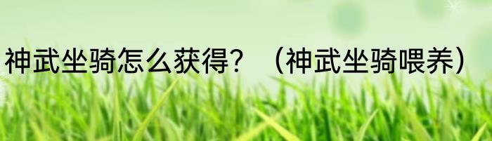 神武坐骑怎么获得？（神武坐骑喂养）