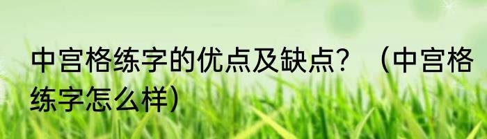 中宫格练字的优点及缺点？（中宫格练字怎么样）