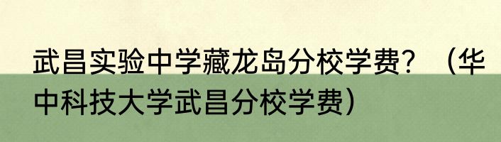 武昌实验中学藏龙岛分校学费？（华中科技大学武昌分校学费）