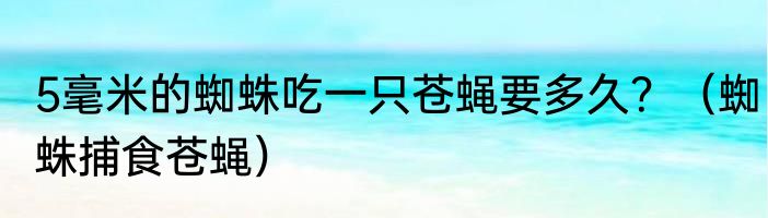 5毫米的蜘蛛吃一只苍蝇要多久？（蜘蛛捕食苍蝇）