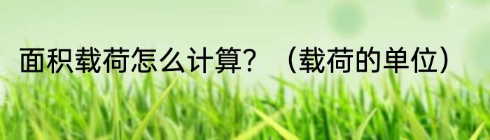 面积载荷怎么计算？（载荷的单位）