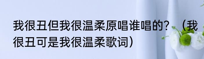 我很丑但我很温柔原唱谁唱的？（我很丑可是我很温柔歌词）