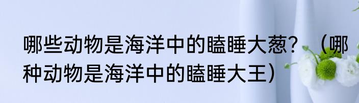 哪些动物是海洋中的瞌睡大葱？（哪种动物是海洋中的瞌睡大王）