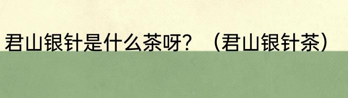 君山银针是什么茶呀？（君山银针茶）