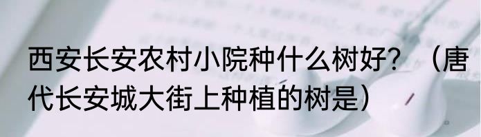 西安长安农村小院种什么树好？（唐代长安城大街上种植的树是）