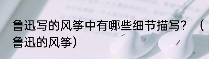 鲁迅写的风筝中有哪些细节描写？（鲁迅的风筝）