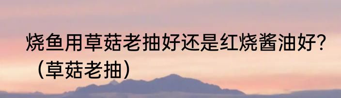 烧鱼用草菇老抽好还是红烧酱油好？（草菇老抽）