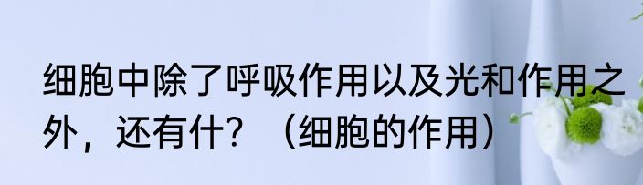 细胞中除了呼吸作用以及光和作用之外，还有什？（细胞的作用）