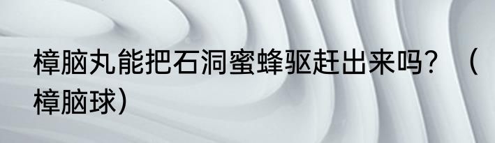 樟脑丸能把石洞蜜蜂驱赶出来吗？（樟脑球）