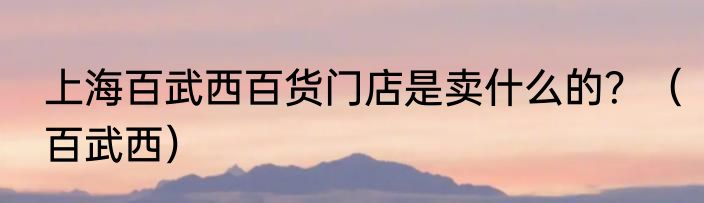 上海百武西百货门店是卖什么的？（百武西）