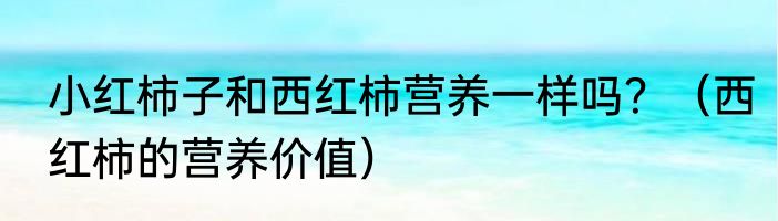 小红柿子和西红柿营养一样吗？（西红柿的营养价值）