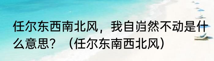 任尔东西南北风，我自岿然不动是什么意思？（任尔东南西北风）