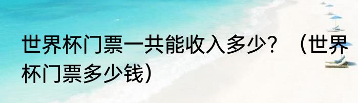 世界杯门票一共能收入多少？（世界杯门票多少钱）