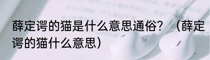 薛定谔的猫是什么意思通俗？（薛定谔的猫什么意思）