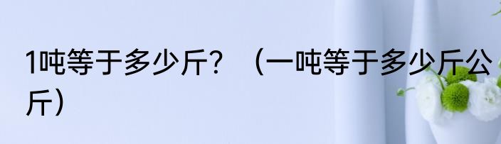 1吨等于多少斤？（一吨等于多少斤公斤）