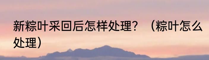 新粽叶采回后怎样处理？（粽叶怎么处理）