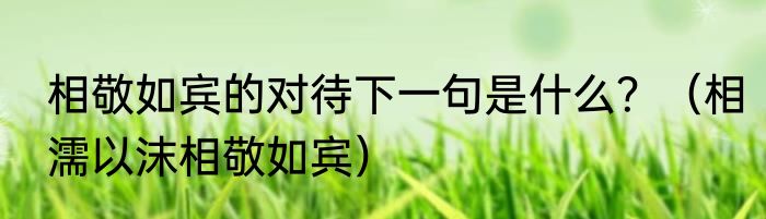 相敬如宾的对待下一句是什么？（相濡以沫相敬如宾）